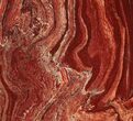 Polished Snakeskin Jasper Slab - Western Australia #95445-1